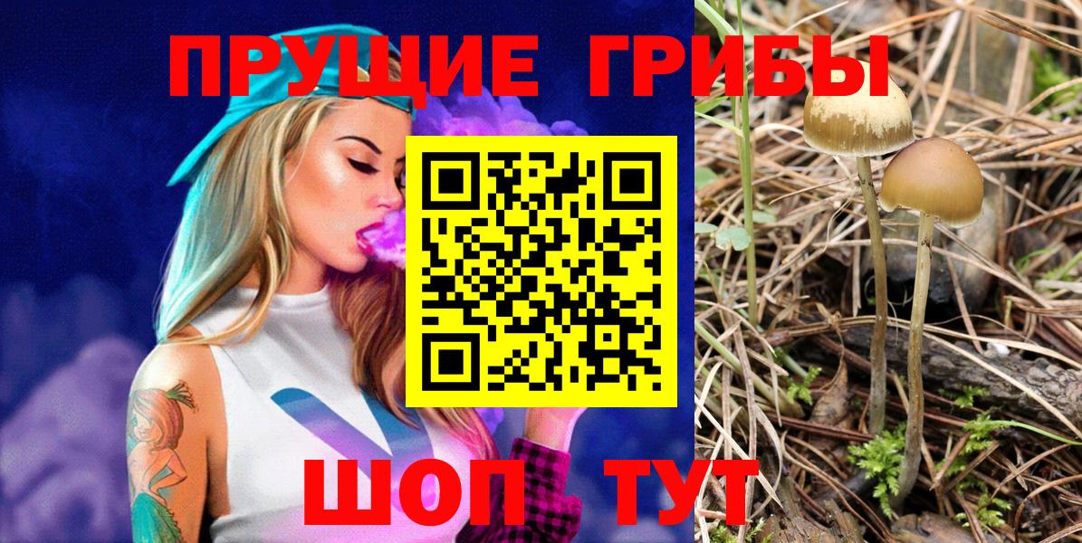 купить  цена  Вход с VPN  Галлюциногенные грибы GOLDEN TEACHER  Лангепас  Галлюциногенные грибы ЛСД 