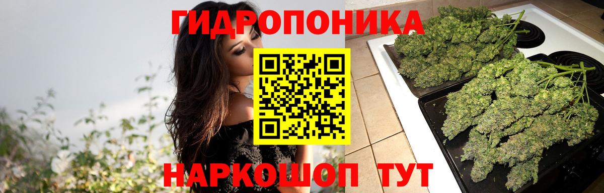 Марихуана конопля Лангепас